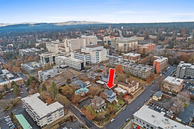611 S Bernard St, Spokane, WA 99204 - view of urban area