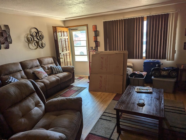 living room with a textured ceiling and hardwood / wood-style floors