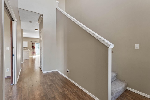 staircase featuring wood-type flooring and a textured ceiling