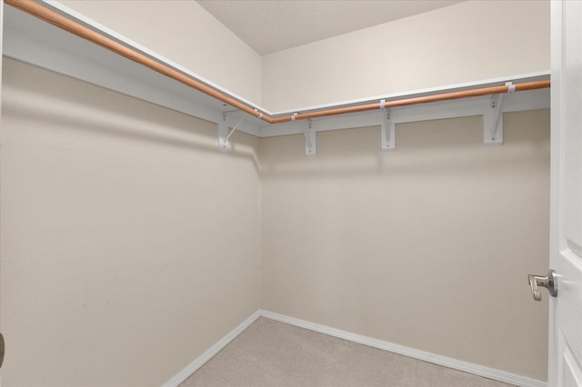 spacious closet featuring carpet floors