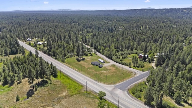 bird's eye view featuring a mountain view and a view of trees