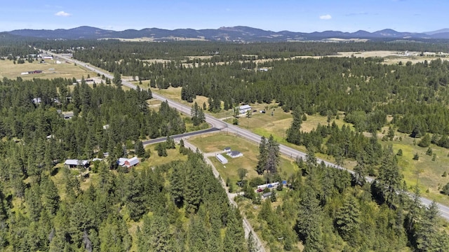 bird's eye view featuring a mountain view and a view of trees