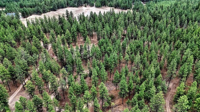 18505 W Buckboard Rd, Medical Lake, WA 99022 - photo 13