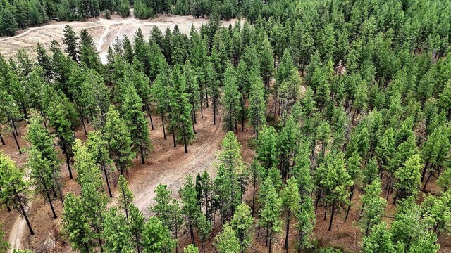 18505 W Buckboard Rd, Medical Lake, WA 99022 - photo 14