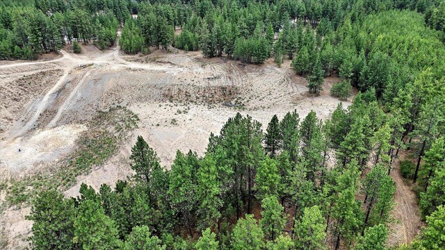 18505 W Buckboard Rd, Medical Lake, WA 99022 - photo 15