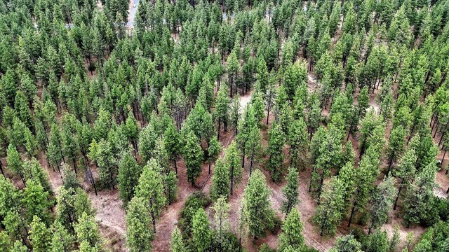 18505 W Buckboard Rd, Medical Lake, WA 99022 - photo 18