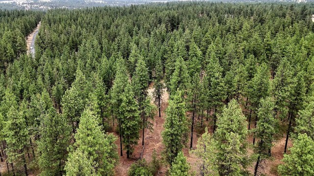 18505 W Buckboard Rd, Medical Lake, WA 99022 - photo 19