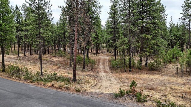 18505 W Buckboard Rd, Medical Lake, WA 99022 - photo 3