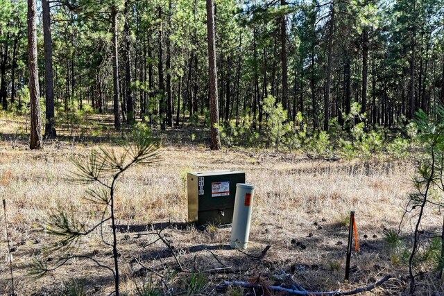 18505 W Buckboard Rd, Medical Lake, WA 99022 - photo 4