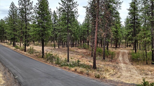 18505 W Buckboard Rd, Medical Lake, WA 99022 - photo 9