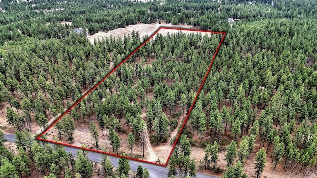 18505 W Buckboard Rd, Medical Lake, WA 99022 - photo 10