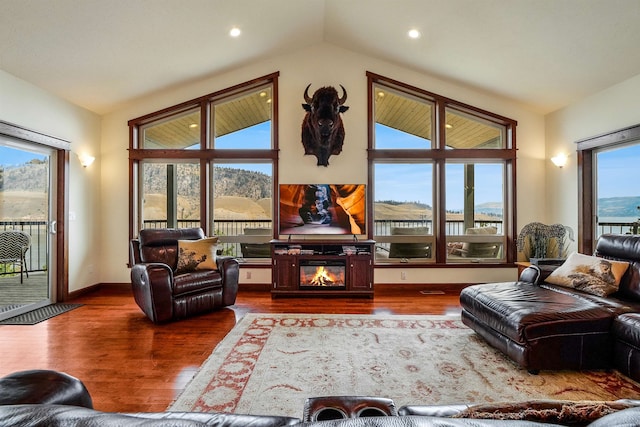 living room with wood-type flooring and a healthy amount of sunlight