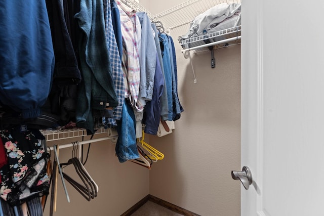 view of walk in closet