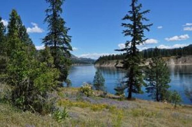 36XX Critter Way, Kettle Falls, WA 99141 - photo 1
