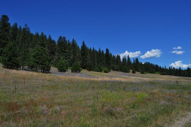 36XX Critter Way, Kettle Falls, WA 99141 - photo 2
