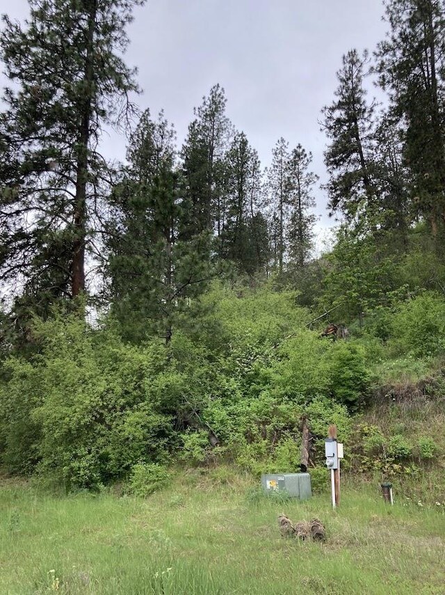 36XX Critter Way, Kettle Falls, WA 99141 - photo 11