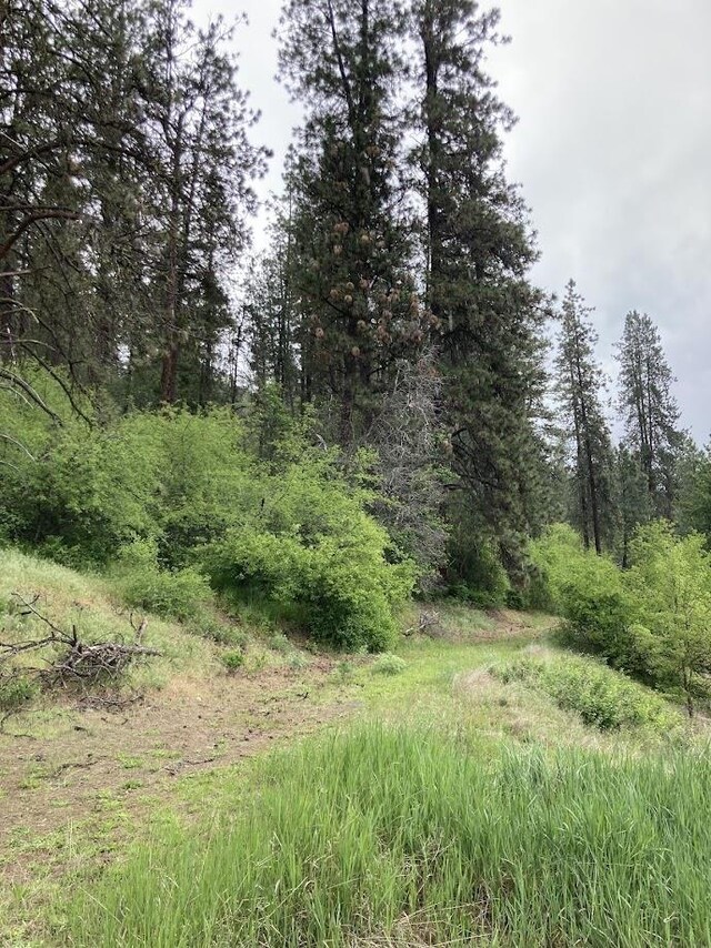 36XX Critter Way, Kettle Falls, WA 99141 - photo 12