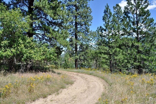 36XX Critter Way, Kettle Falls, WA 99141 - photo 13