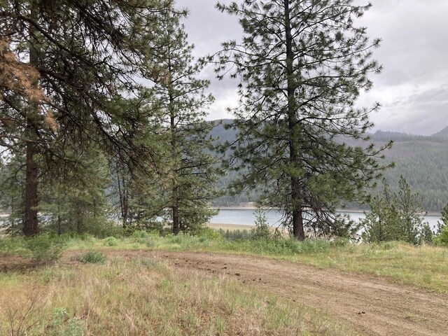 36XX Critter Way, Kettle Falls, WA 99141 - photo 14