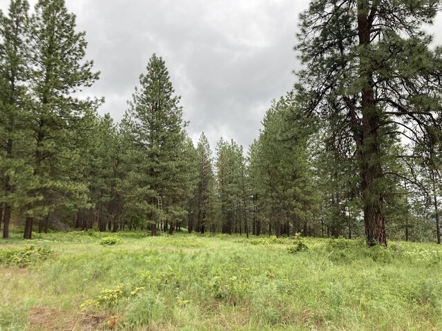 36XX Critter Way, Kettle Falls, WA 99141 - photo 15
