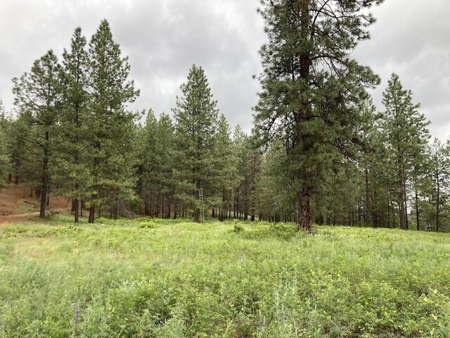 36XX Critter Way, Kettle Falls, WA 99141 - photo 16
