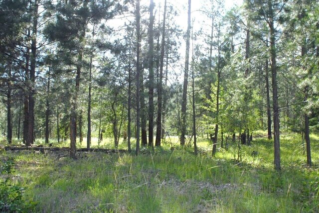 36XX Critter Way, Kettle Falls, WA 99141 - photo 17