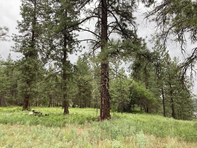 36XX Critter Way, Kettle Falls, WA 99141 - photo 18