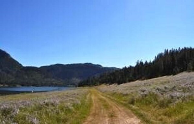 36XX Critter Way, Kettle Falls, WA 99141 - photo 3