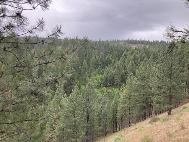 36XX Critter Way, Kettle Falls, WA 99141 - photo 23