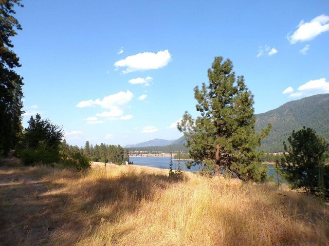 36XX Critter Way, Kettle Falls, WA 99141 - photo 24