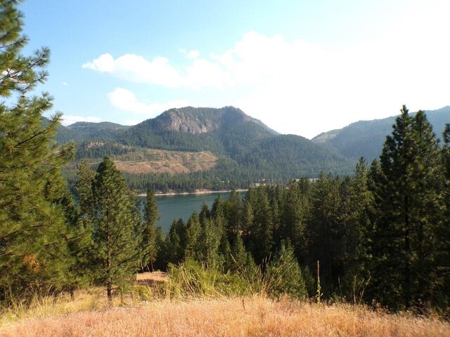 36XX Critter Way, Kettle Falls, WA 99141 - photo 25