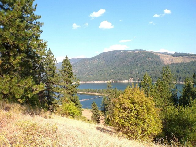 36XX Critter Way, Kettle Falls, WA 99141 - photo 26