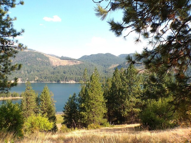 36XX Critter Way, Kettle Falls, WA 99141 - photo 27