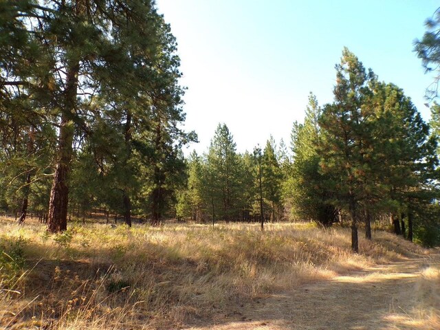 36XX Critter Way, Kettle Falls, WA 99141 - photo 28