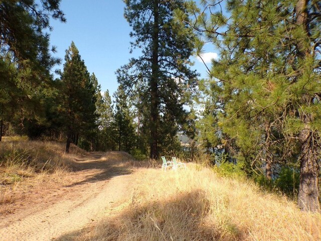 36XX Critter Way, Kettle Falls, WA 99141 - photo 30