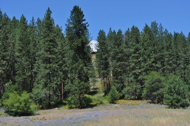 36XX Critter Way, Kettle Falls, WA 99141 - photo 4