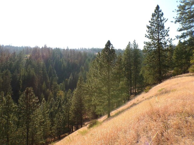 36XX Critter Way, Kettle Falls, WA 99141 - photo 31