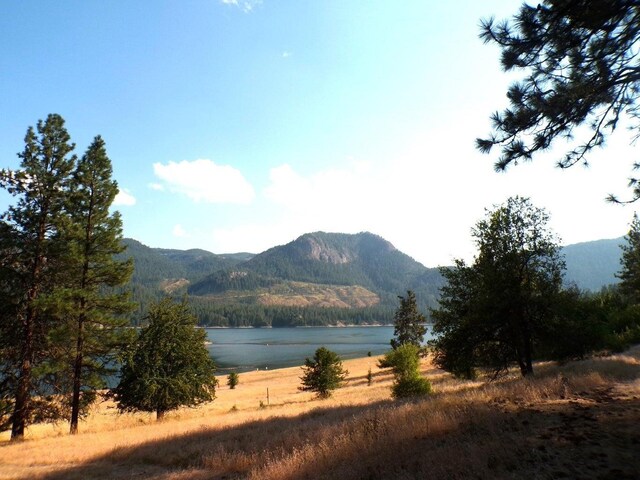 36XX Critter Way, Kettle Falls, WA 99141 - photo 32