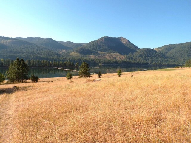 36XX Critter Way, Kettle Falls, WA 99141 - photo 33