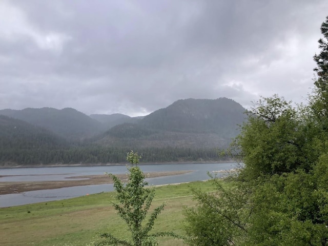 36XX Critter Way, Kettle Falls, WA 99141 - photo 7