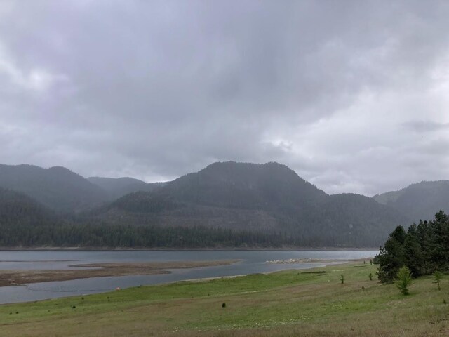 36XX Critter Way, Kettle Falls, WA 99141 - photo 8