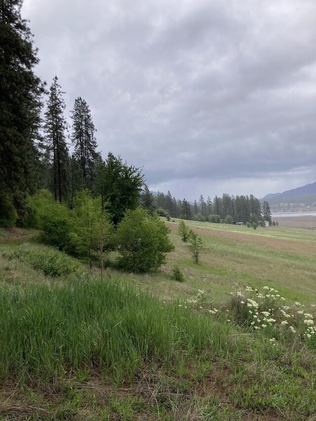 36XX Critter Way, Kettle Falls, WA 99141 - photo 9