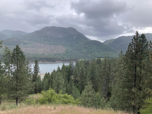 36XX Critter Way, Kettle Falls, WA 99141 - photo 10