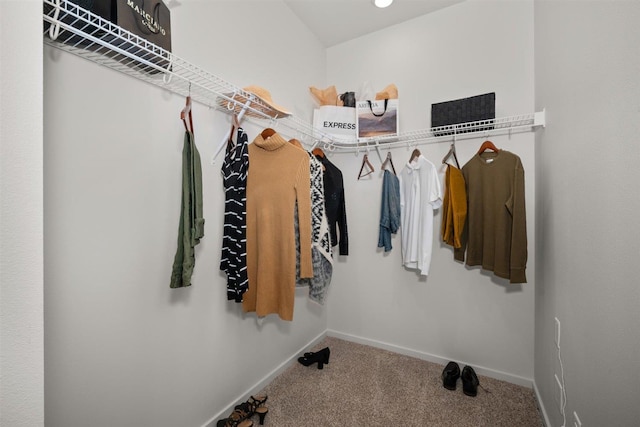 spacious closet featuring carpet