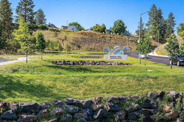 view of community with a yard