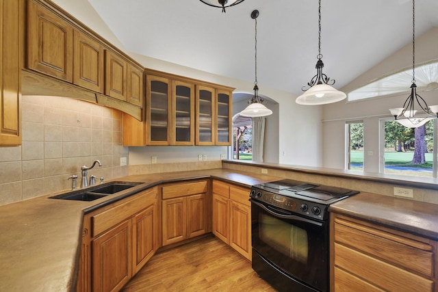 kitchen with lofted ceiling, black range with electric cooktop, a healthy amount of sunlight, and a sink