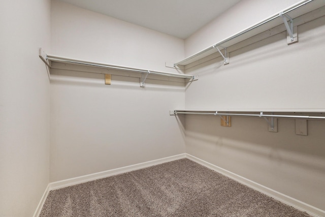 spacious closet with carpet