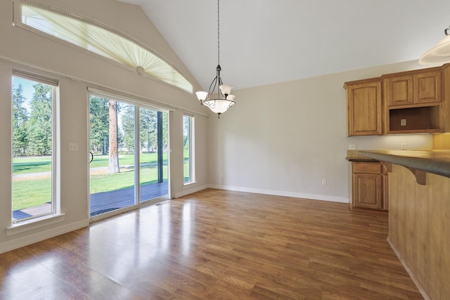 unfurnished dining area with baseboards, lofted ceiling, a notable chandelier, and wood finished floors
