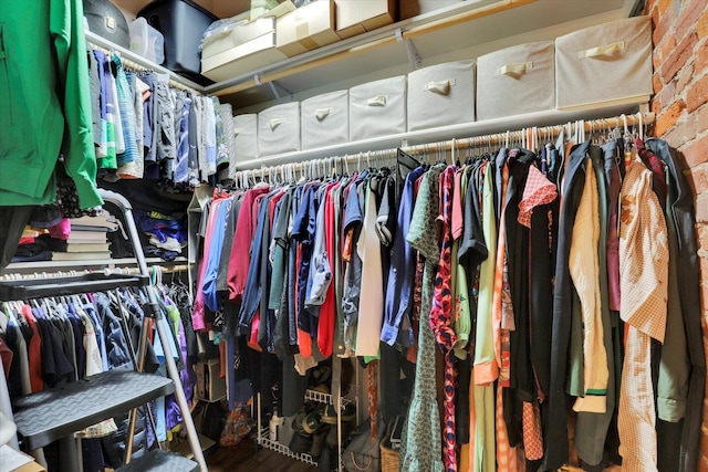 view of spacious closet