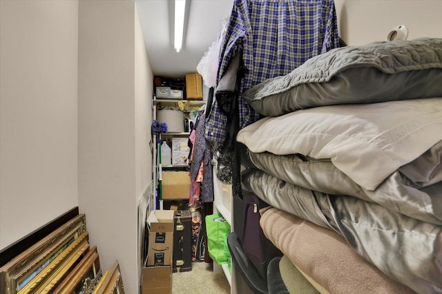 spacious closet with carpet floors